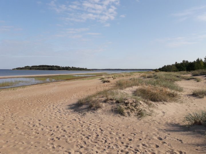 Seashores offer cultural ecosystem services, as people utilize beaches for recreational use. Storsand beach in the picture is a protected area in Nykarleby, Finland.